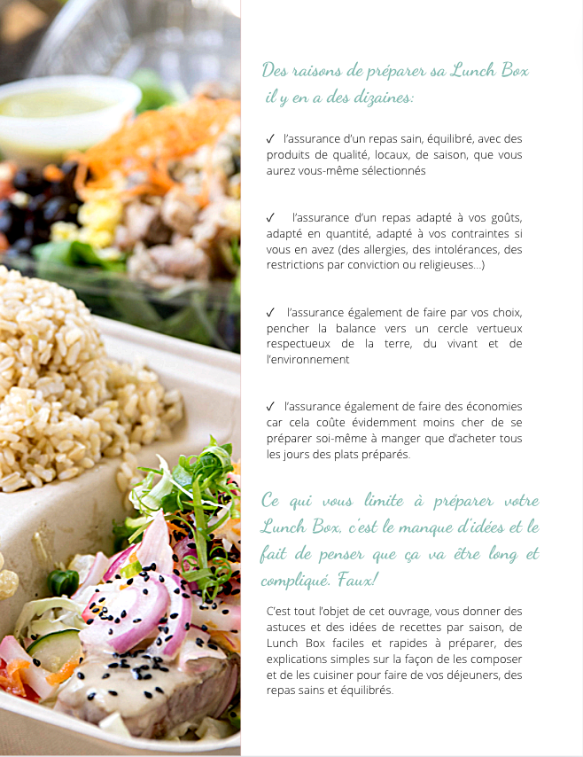 E-book: My healthy Lunch Box